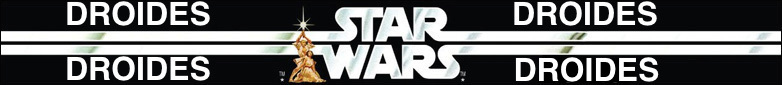 Star Wars Hasbro 3 3/4 Droides